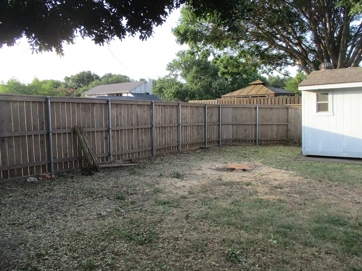 Cleared yard after professional tree removal in Virginia Beach